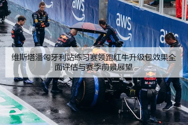 维斯塔潘匈牙利站练习赛领跑红牛升级包效果全面评估与赛季前景展望