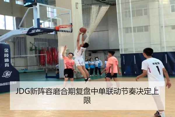 JDG新阵容磨合期复盘中单联动节奏决定上限